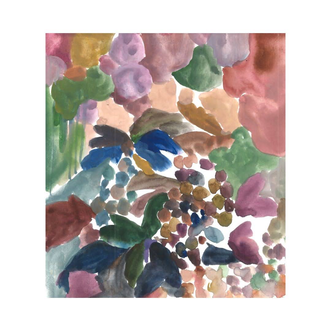 Purple Plant