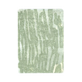 027 - Washi Sticker