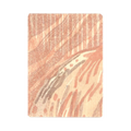 044 - Washi Sticker