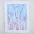 Spring Woods