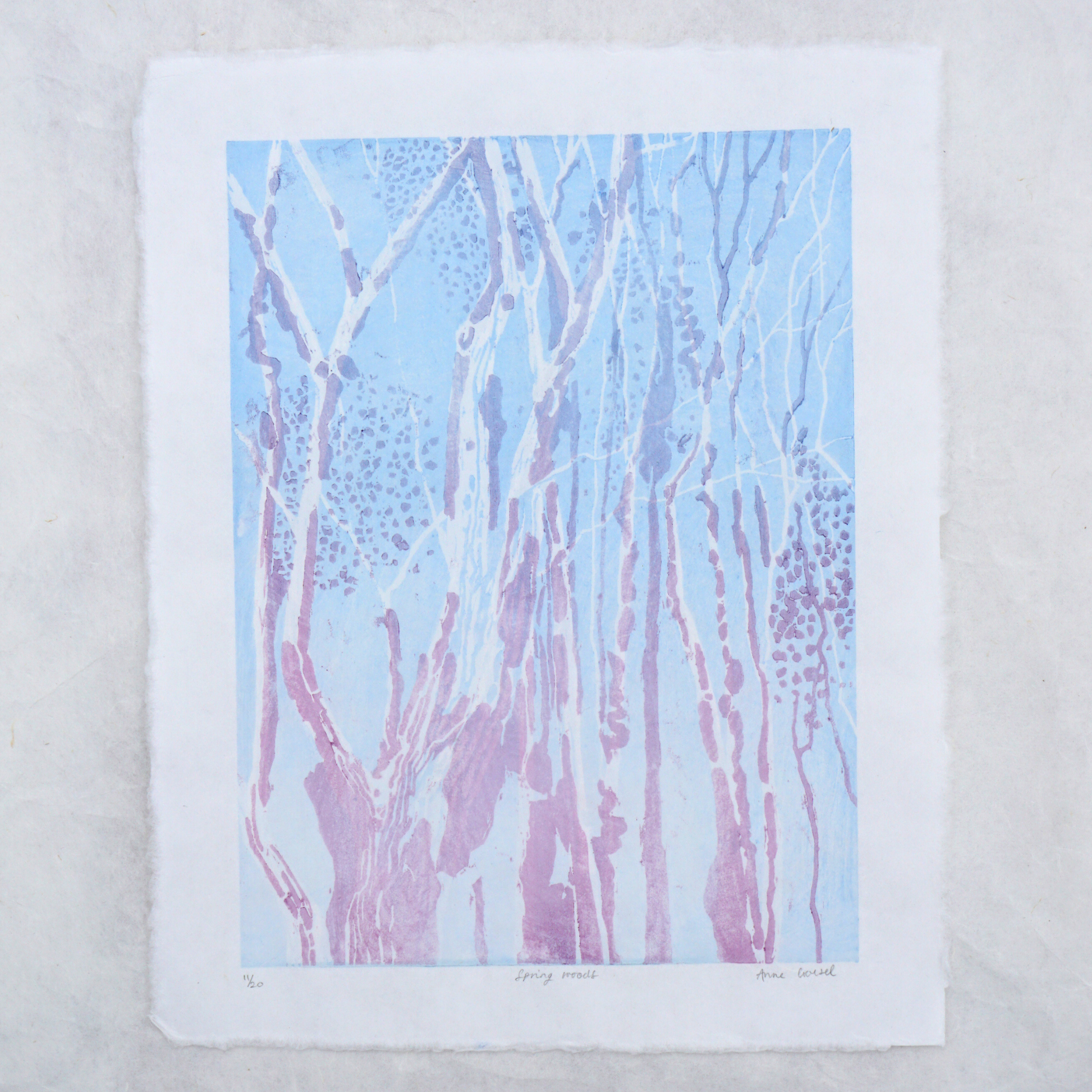 Spring Woods
