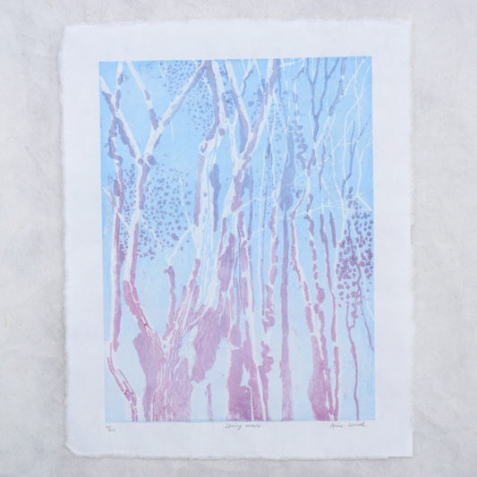 Spring Woods