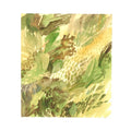 Grass