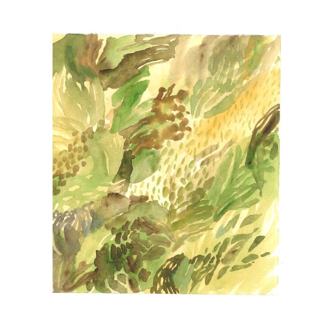 Grass