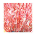 Red Plant