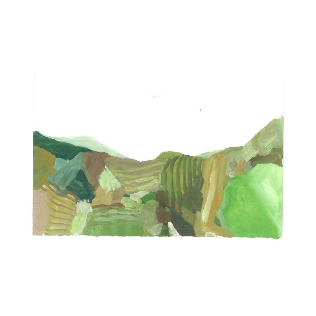 Fields 2