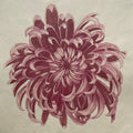 Chrysanthemum