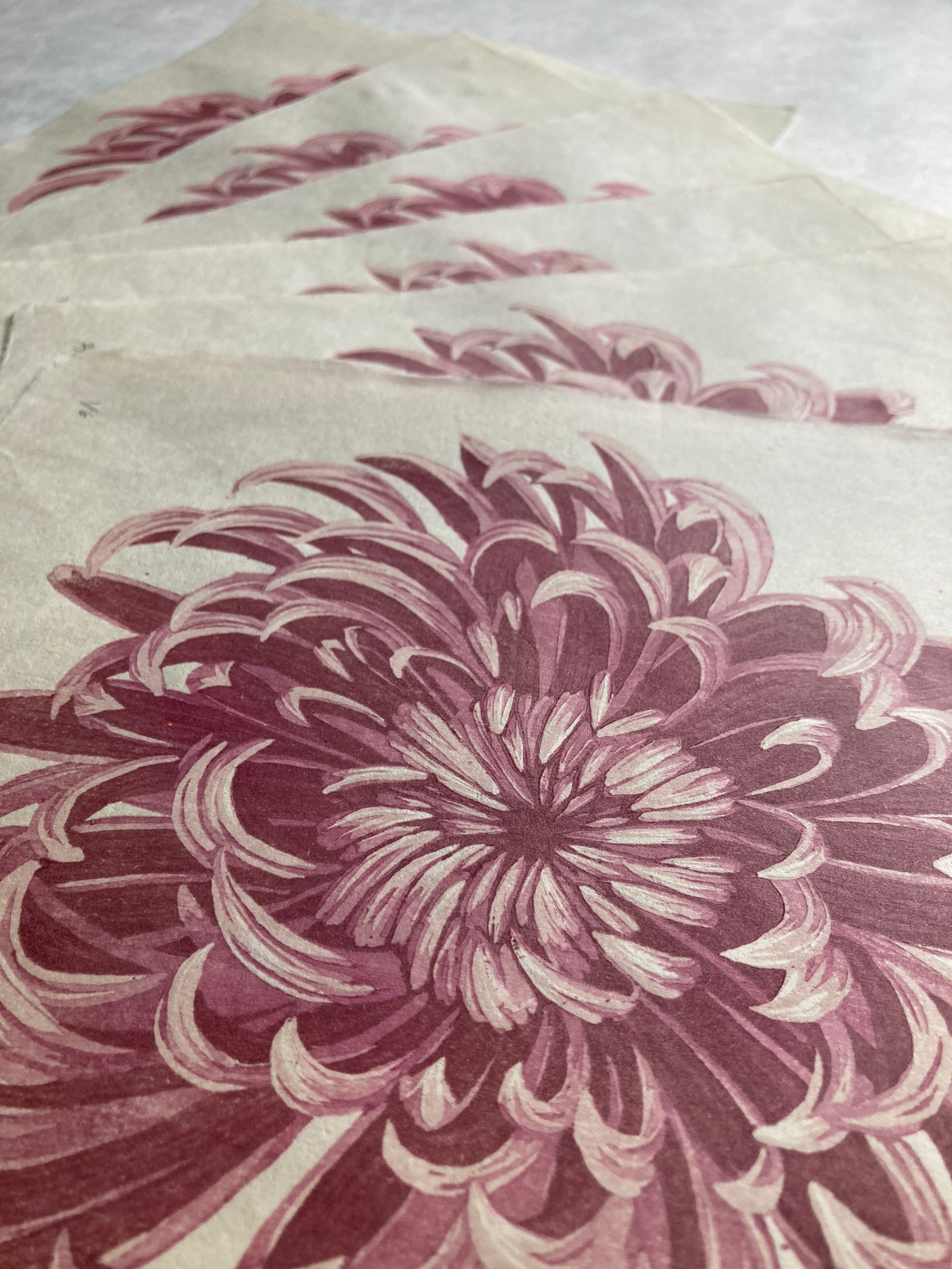 Chrysanthemum
